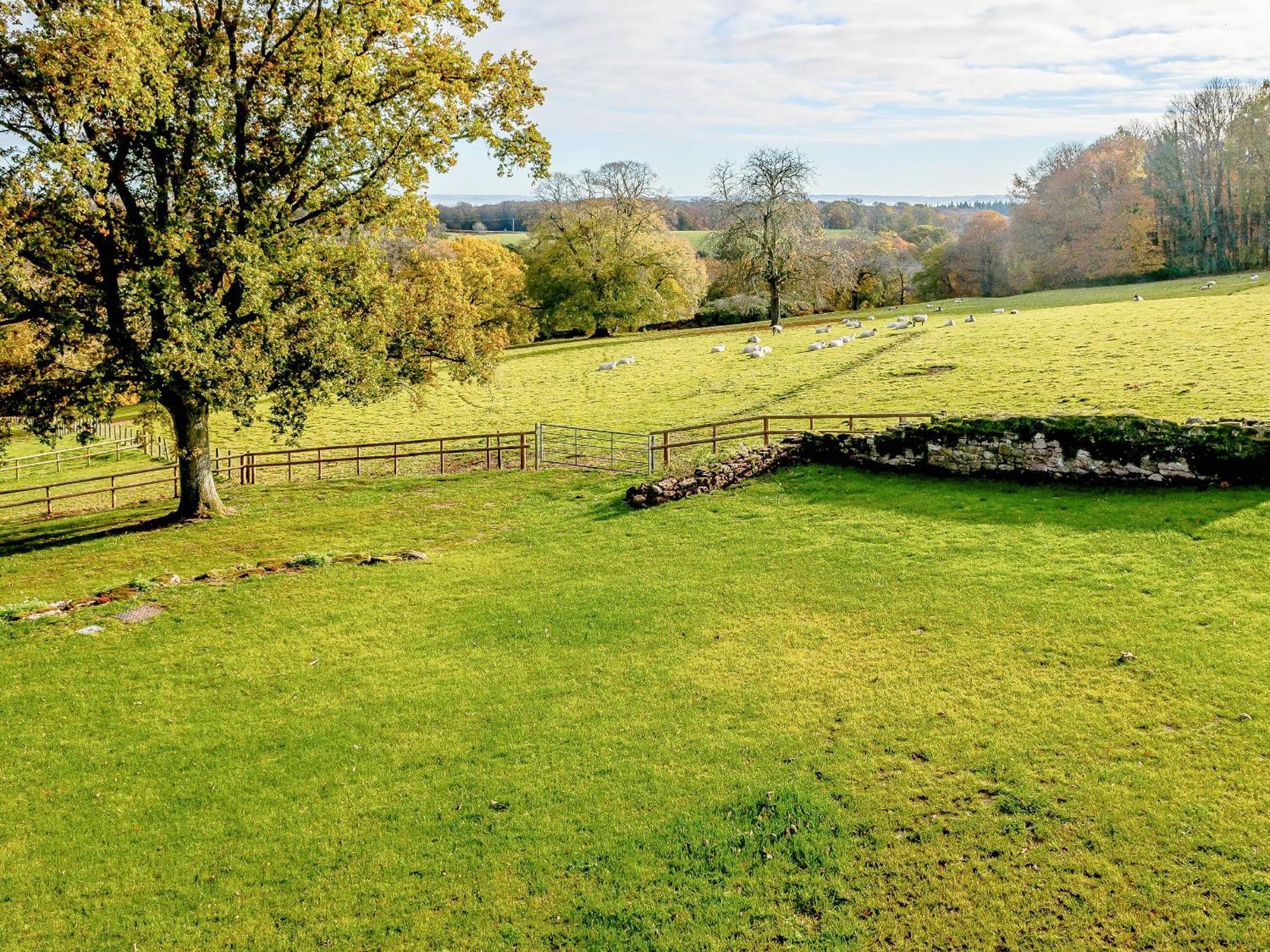 Bream Owl Barn -- Uk30757ヴィラ エクステリア 写真